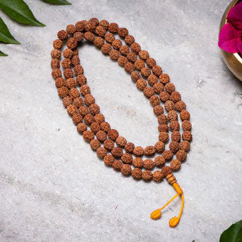Rudraksha seeds
